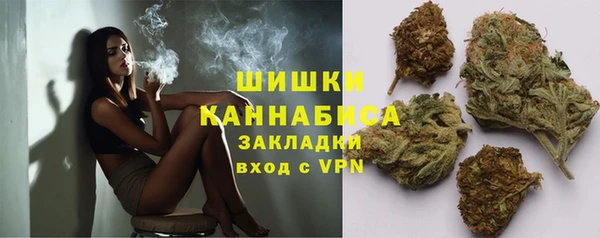 дурь Краснослободск