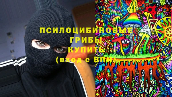 apvp Корсаков
