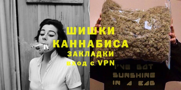 дурь Краснослободск