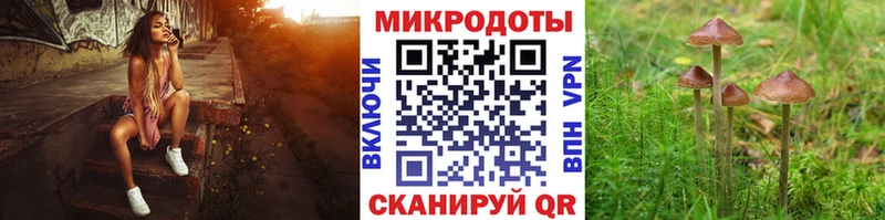 Псилоцибиновые грибы мицелий  Белоусово 